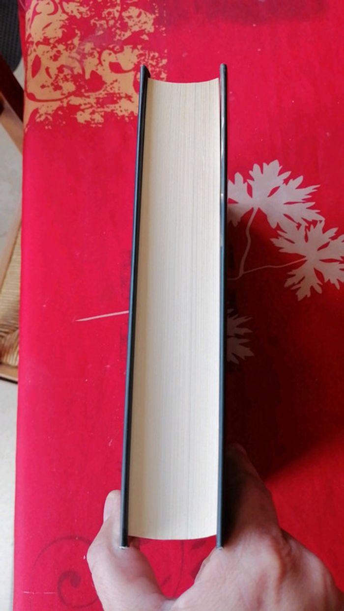 Je te vois - photo numéro 4