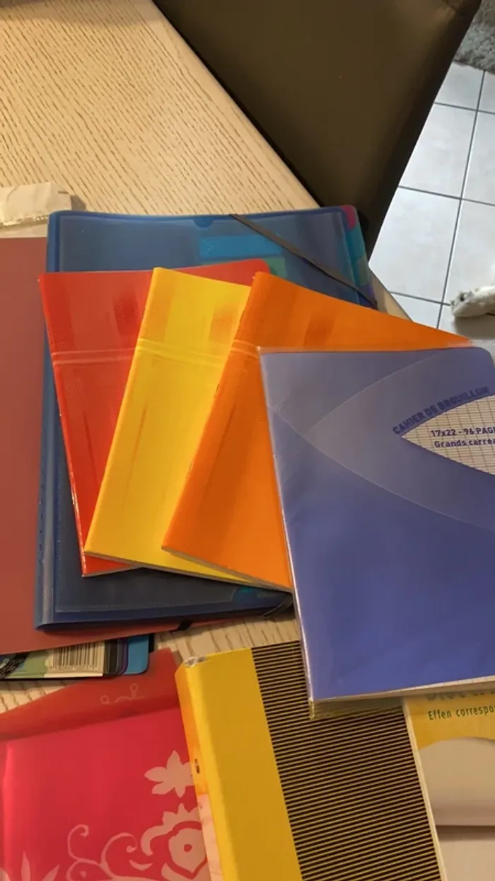 gros lot scolaires classeurs cahiers trieurs porte vues etc - photo numéro 5