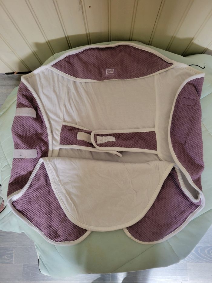 Couverture Babynomade de Red Castle - photo numéro 2