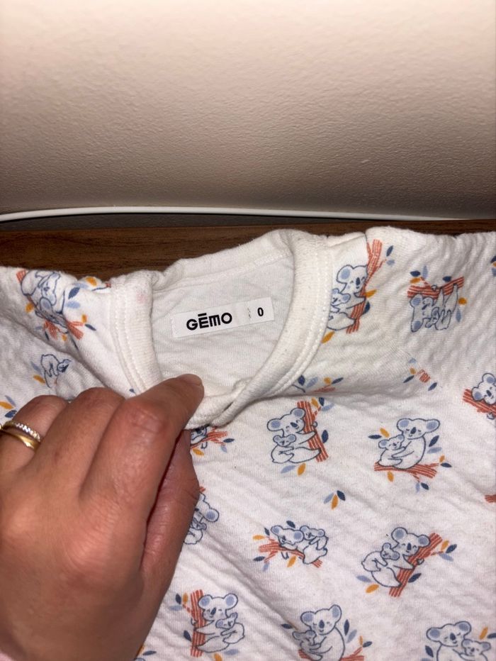 Petit koala - photo numéro 3