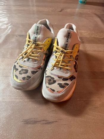 bronx leopard