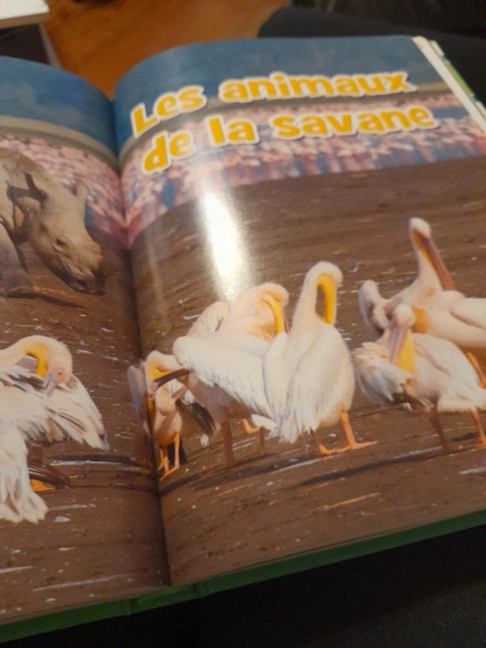 Mes animaux préférés - photo numéro 4