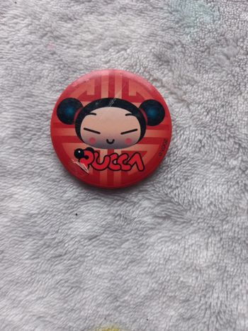 Broche Pucca