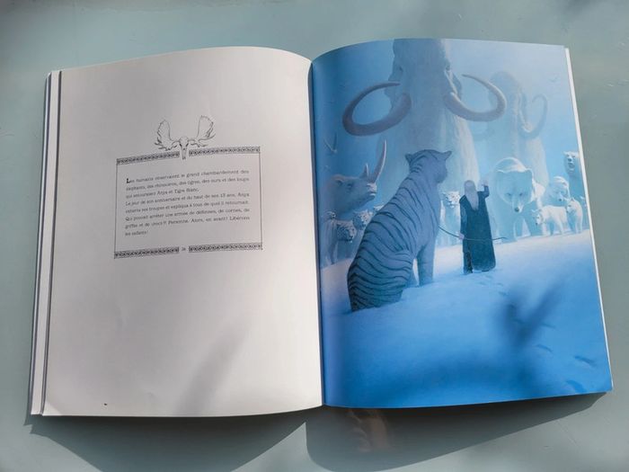 Livre l'école des loisirs couverture souple, Anya et Tigre Blanc , 8/12 ans (16) - photo numéro 3