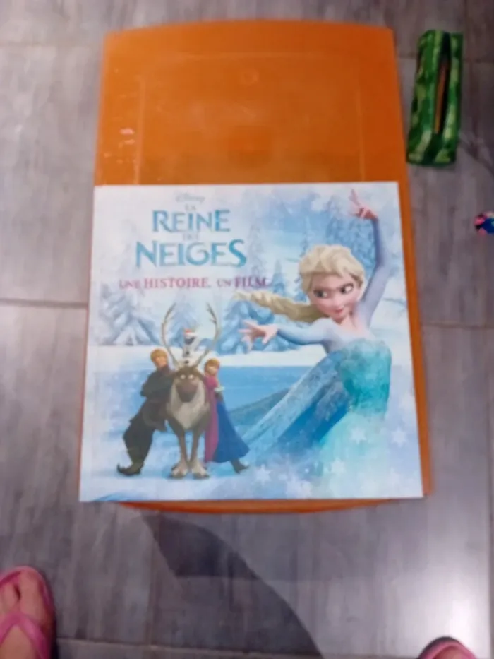 Livre la reine des neiges