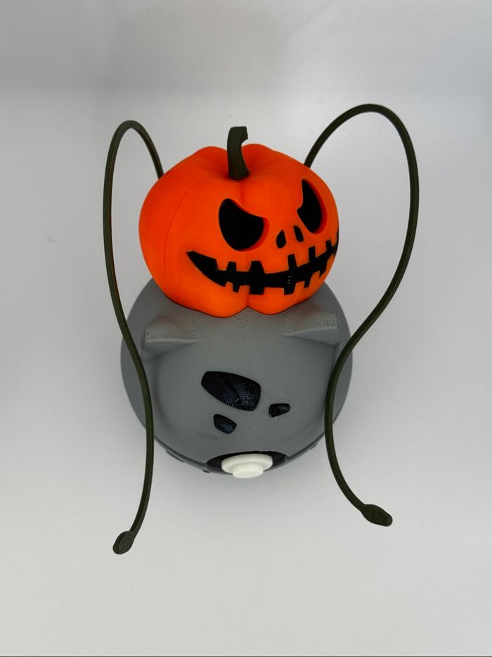 Pokeball bulbizard Halloween - photo numéro 5