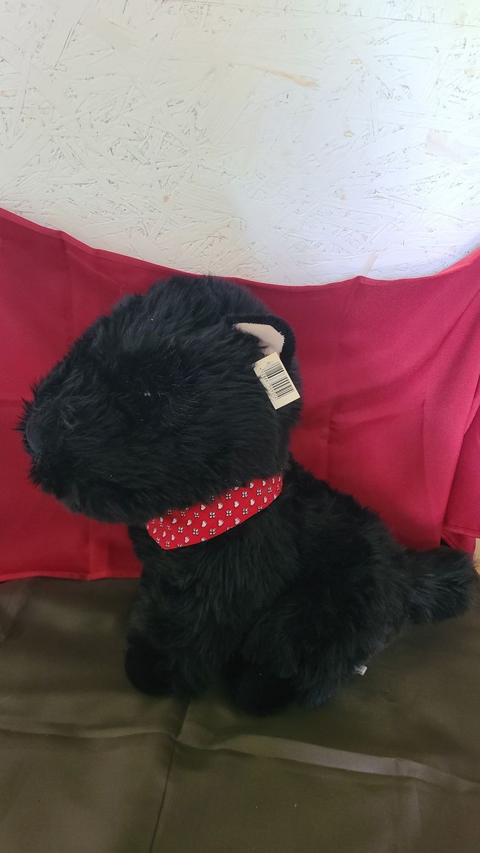 Chien Scottish Terrier Noir