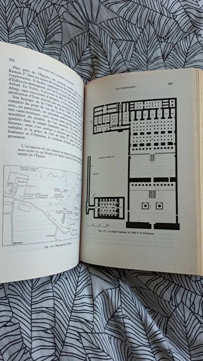 Histoire de l'Égypte ancienne - photo numéro 3