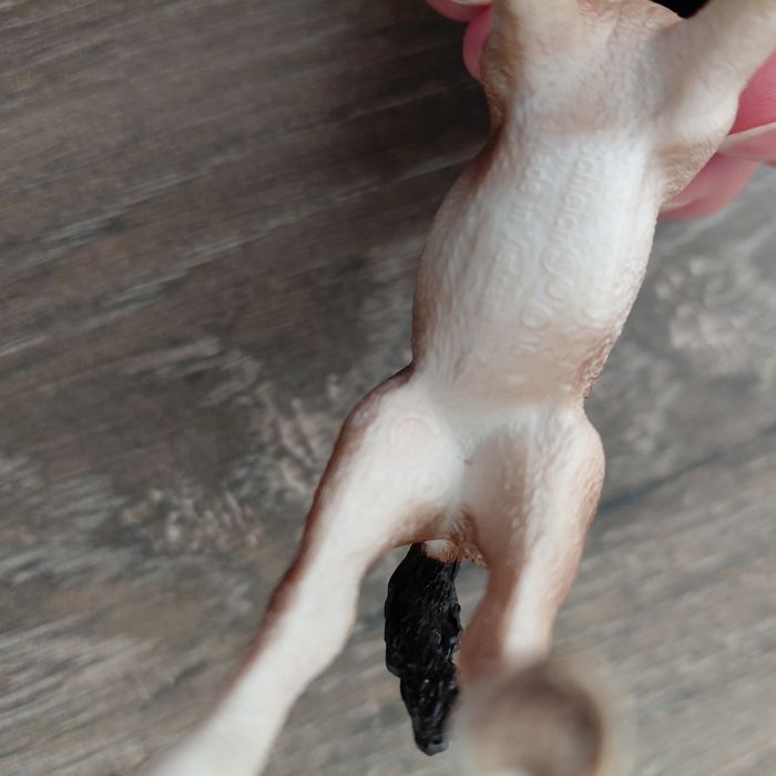 Schleich - poulain andalou - photo numéro 4