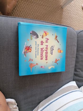 Livre Au royaume de Winnie