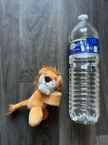 Doudou, petit Lion