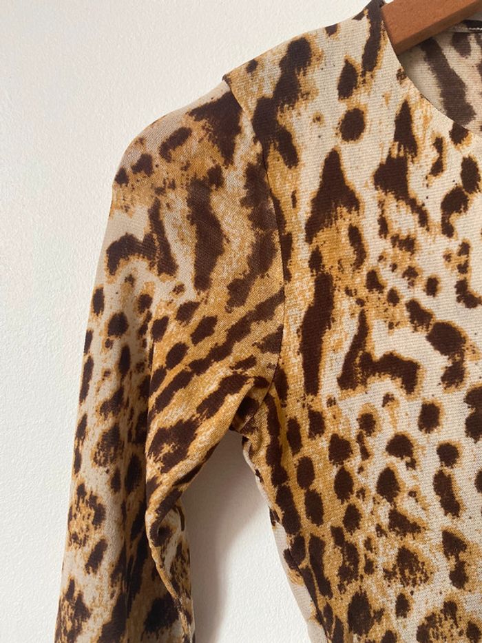 Morgan leopard - photo numéro 4