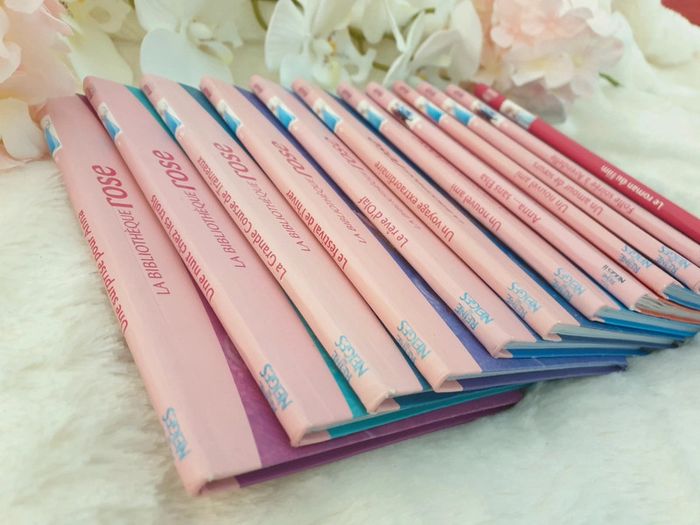 12 Livres Collection Reine des Neiges Disney - photo numéro 3