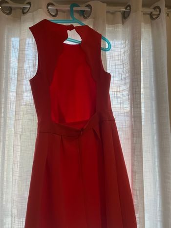 Robe dos nu
