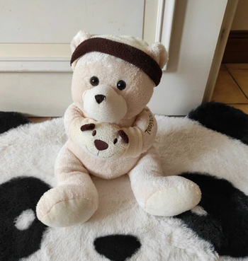 🟩 Peluche teddynours  fizzy  🟩 État : très bon  état 