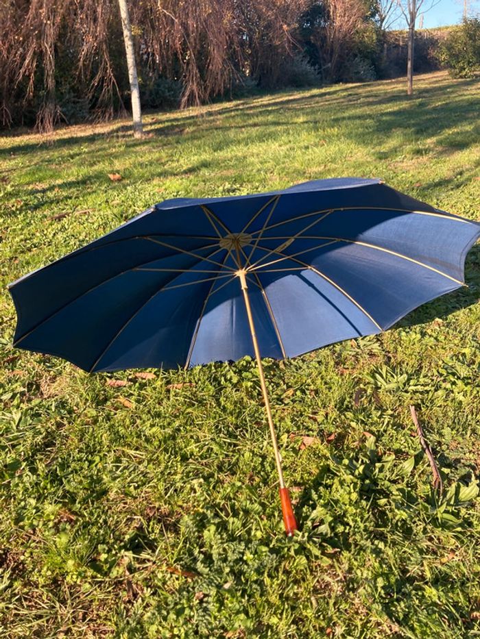 Parapluie bleu - photo numéro 8