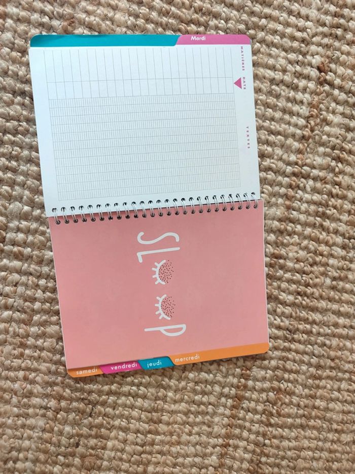 Cahier de texte fille - photo numéro 4