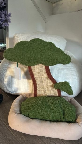 Arbres à chat griffoire