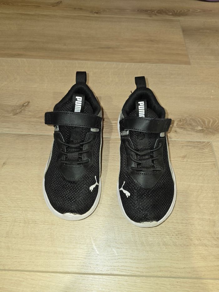 Basquets Puma T31