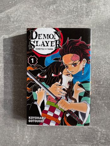 Manga Demon slayer tome 1 en version française.