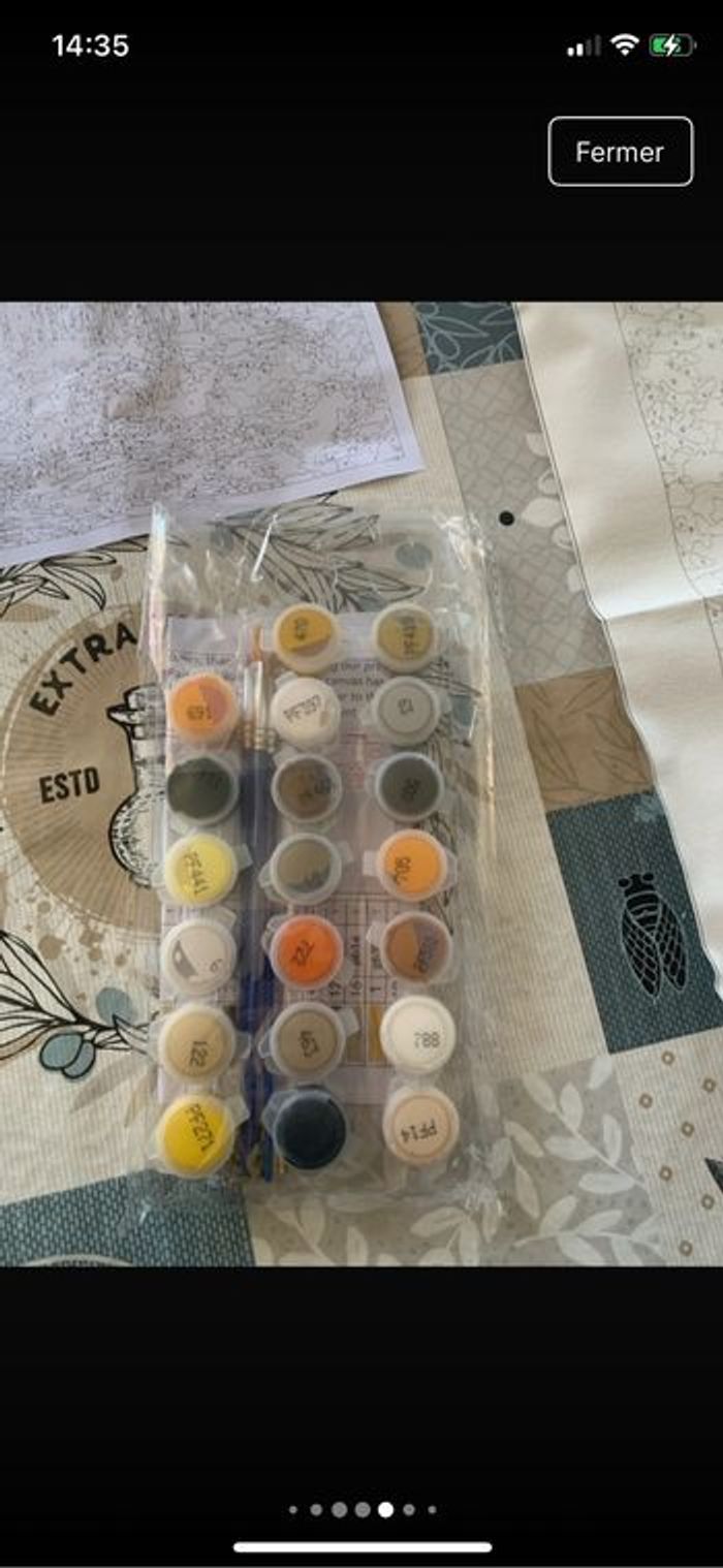 Kit complet de peinture par numéro - Neuf - photo numéro 5