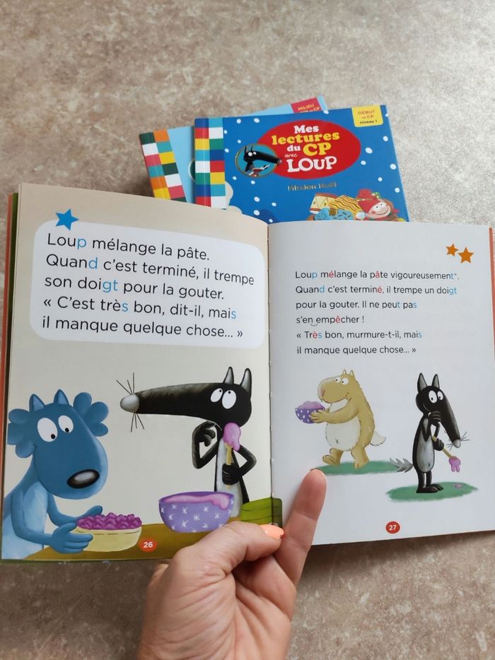 Livre CP petit Loup - photo numéro 2