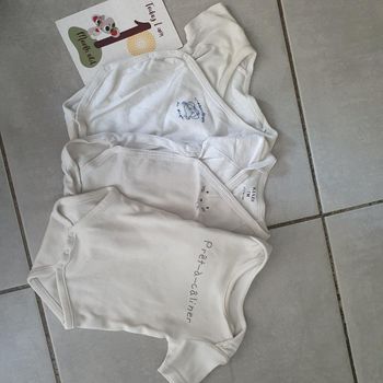 Lot de 3 bodies manche courte taille 1 mois