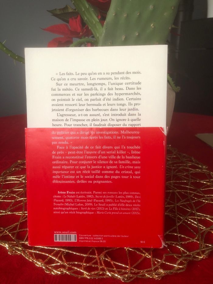 Un crime sans importance - Irène Frain - photo numéro 2