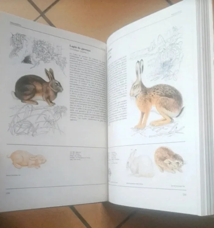 Livre sur les animaux de tous les pays - photo numéro 2