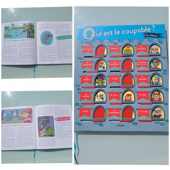 Livre enquêtes 🔎 Qui est le coupable ? Le Château 🔍