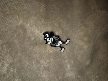 Broche mickey mouse