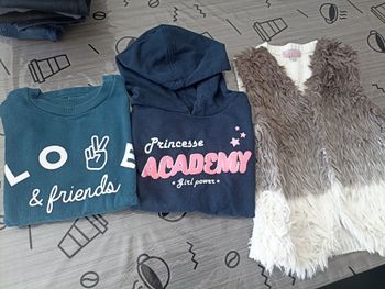 2 sweats et gilet sans manche