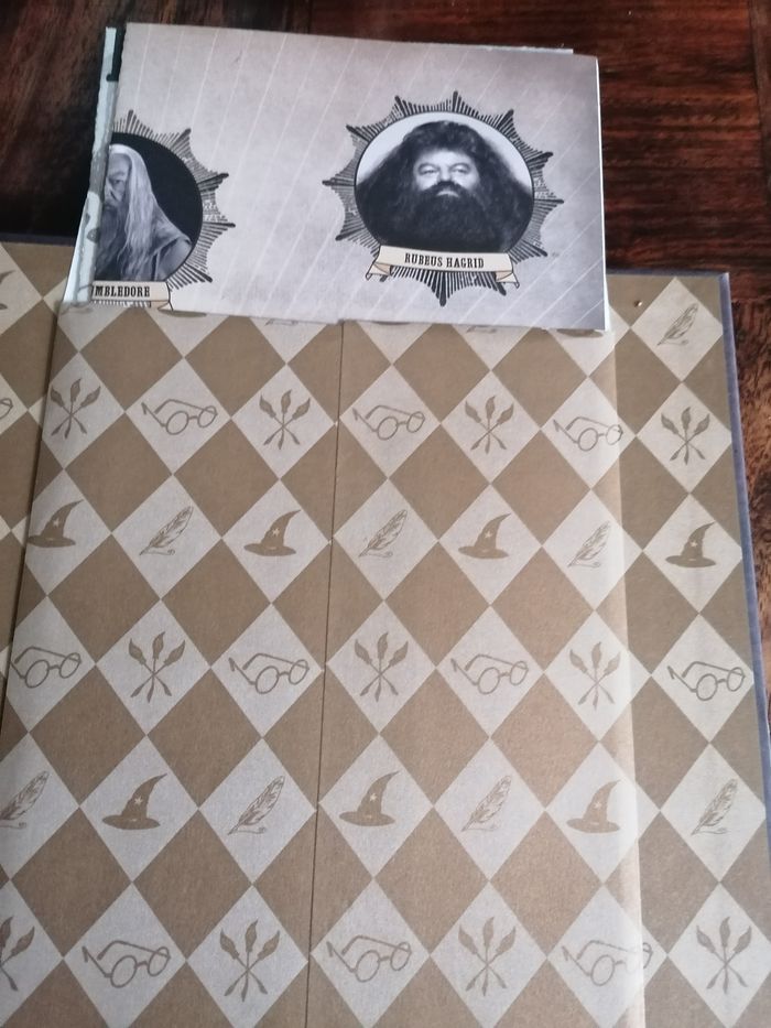 Livre la galerie des portraits. Sorciers, Moldus et autres Cracmols Harry Potter - photo numéro 9