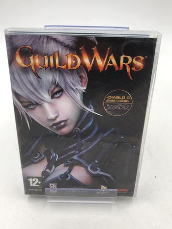 Jeu vidéo GuildWars sur PC