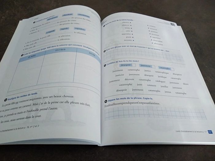 Lot de 2 livres Ribambelle CE1 - photo numéro 3