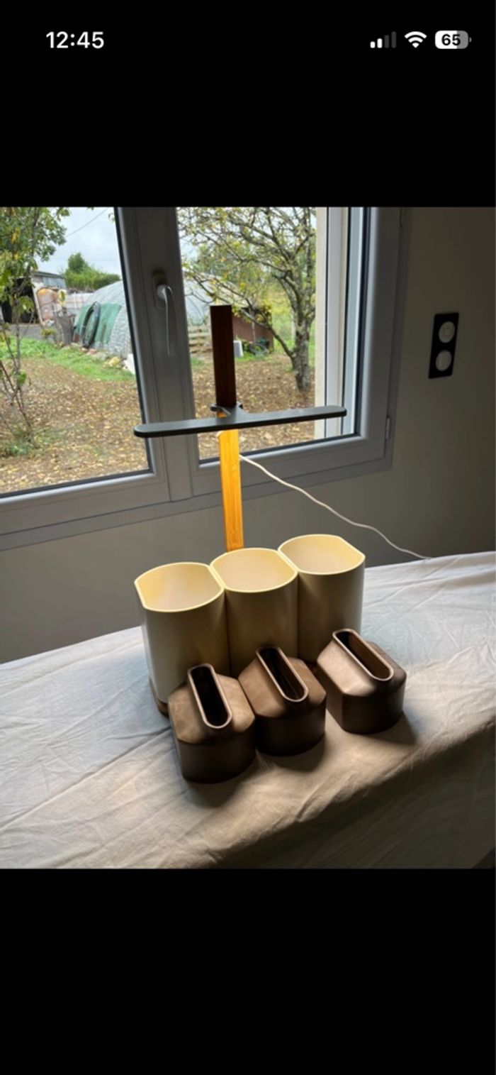 Lilo Potager d’intérieur prêt à pousser