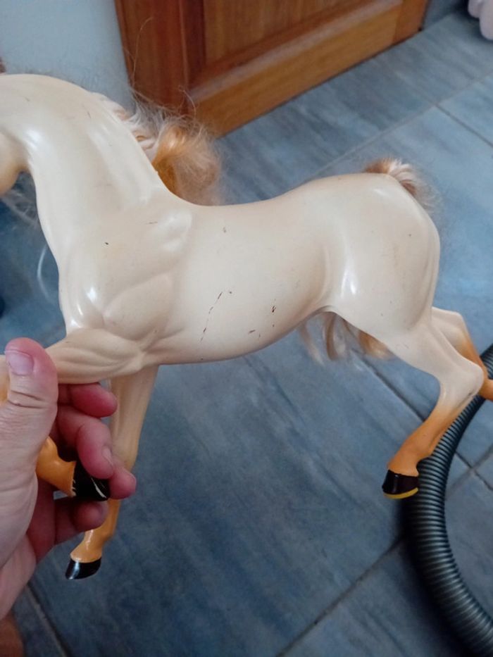 Cheval à donner - photo numéro 3