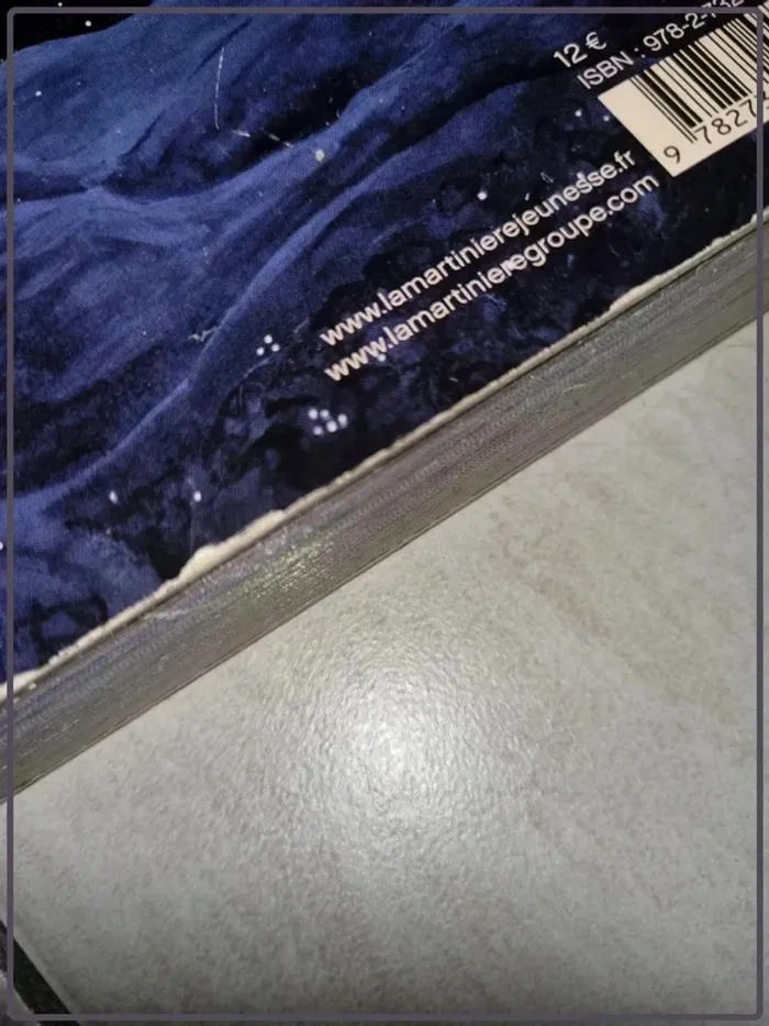 Livre - photo numéro 6