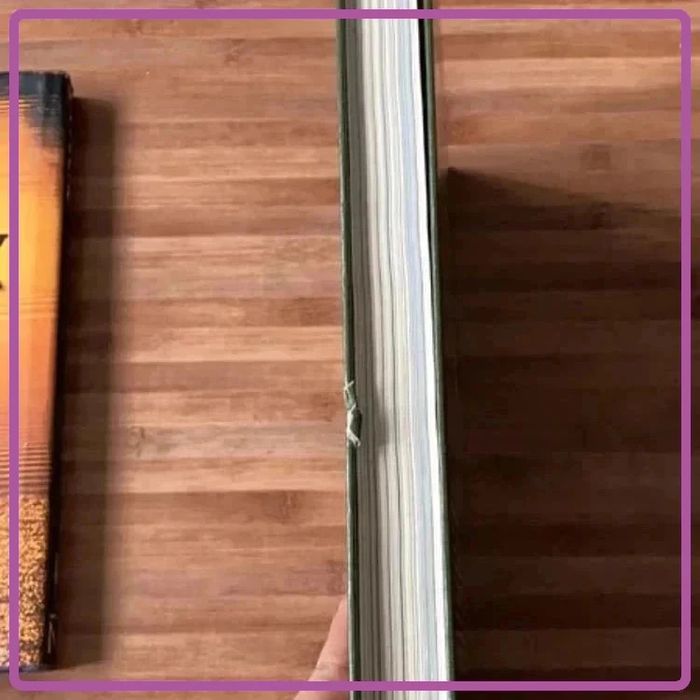 🌟🌟lot de 2 livres sur la peche 🌟🌟 - photo numéro 6