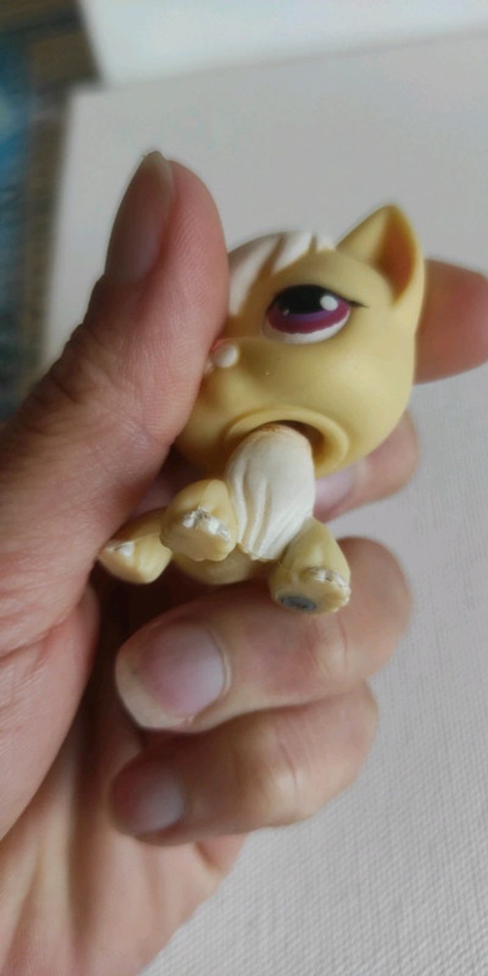 My littlest petshop chat angora 364 - photo numéro 7