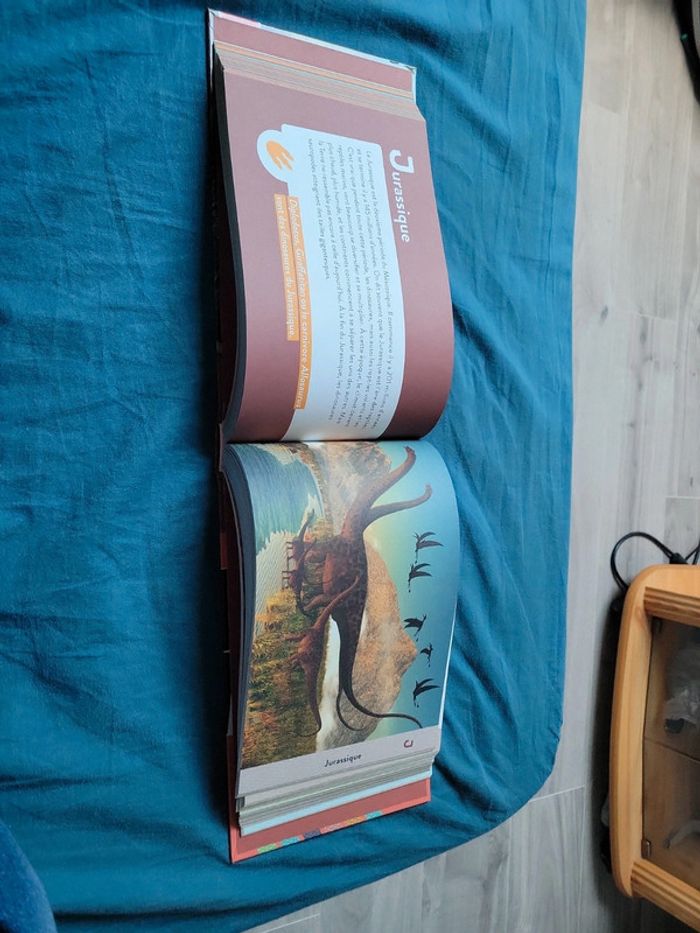 Livre sur les dinosaures enfant - photo numéro 4