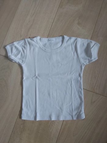 Tee-shirt garçon 24 mois (78)