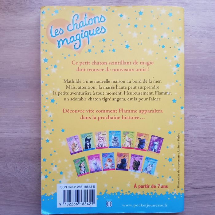 Lot de 3 livres - photo numéro 13