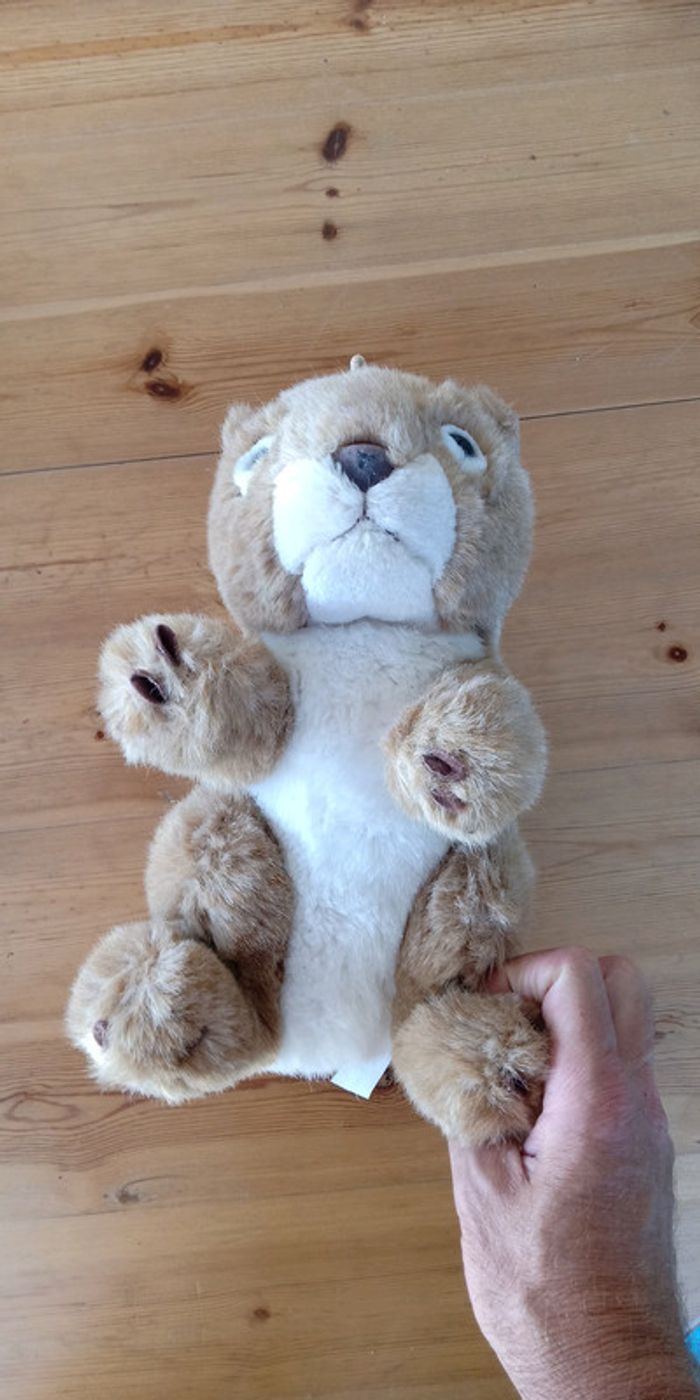 Peluche marmotte - photo numéro 2
