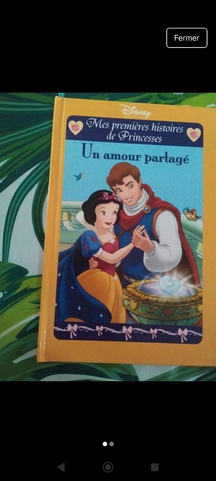 Livre Disney "un amour parfait"