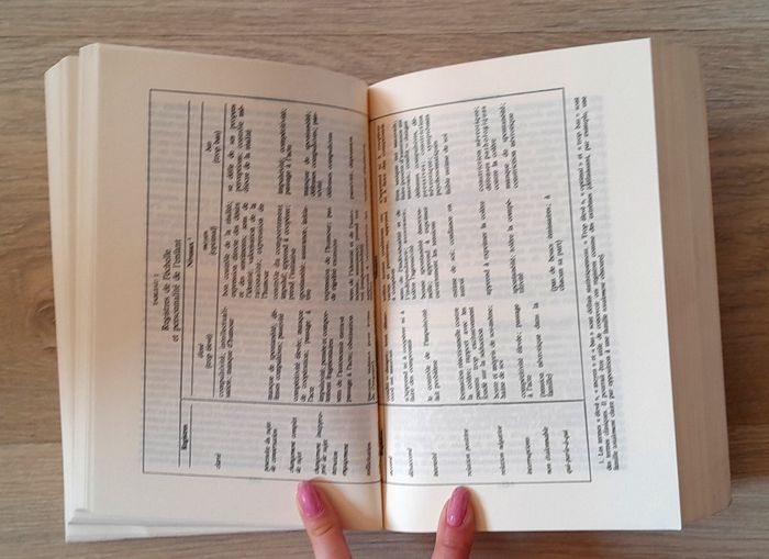 Paul Watzlawick, John H.Weakland - sur l'interraction une nouvelle approche thérapeutique - photo numéro 8