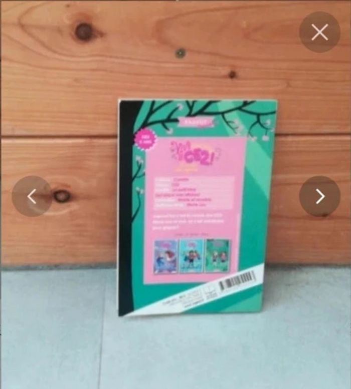 Livre vive le CE2 le cross des copines - photo numéro 2