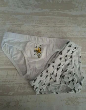 Lot de 2 slip neuf 4-5 ans
