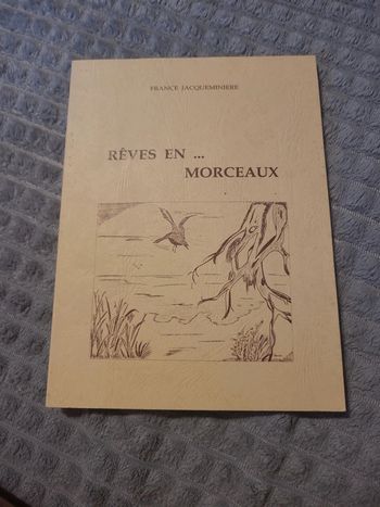 Rêves en morceaux