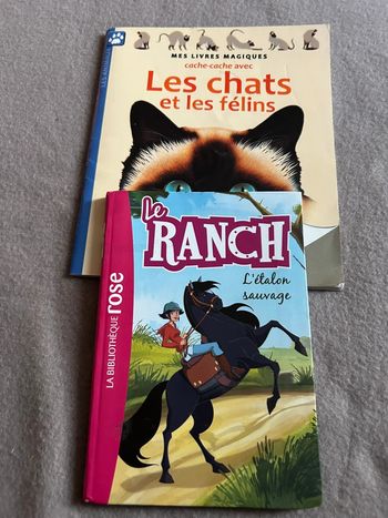 Lot deux livres